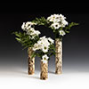 Birch Vases